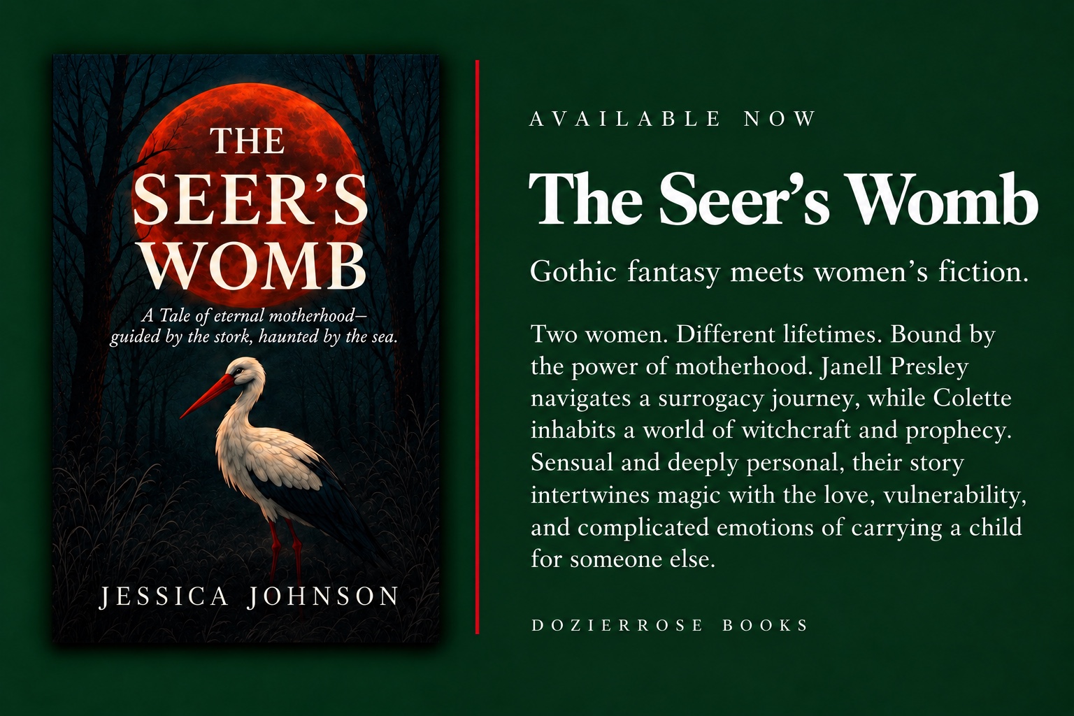 The Seer’s Womb by Jessica Johnson